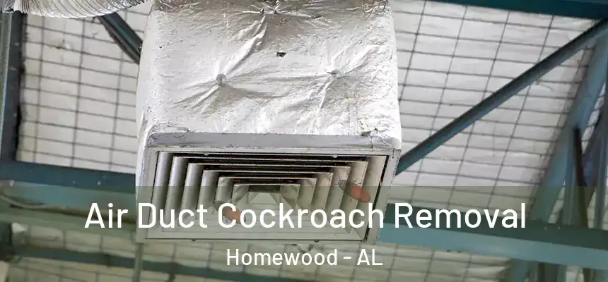  Air Duct Cockroach Removal Homewood - AL