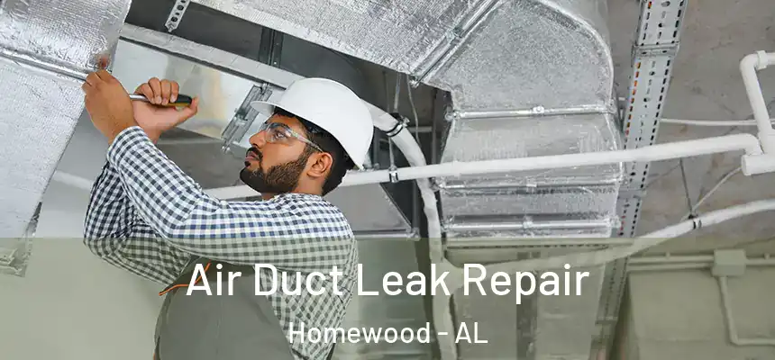  Air Duct Leak Repair Homewood - AL