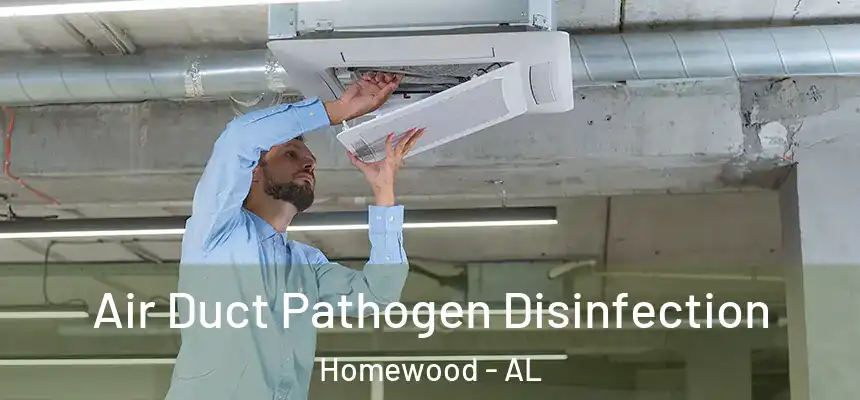  Air Duct Pathogen Disinfection Homewood - AL