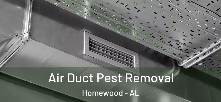  Air Duct Pest Removal Homewood - AL