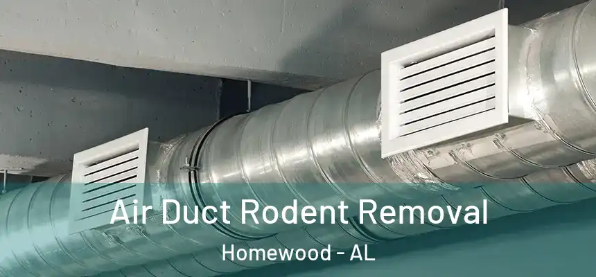  Air Duct Rodent Removal Homewood - AL