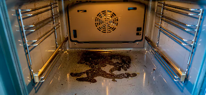 Our Dryer Vent Mold Cleaning Services in Homewood, AL