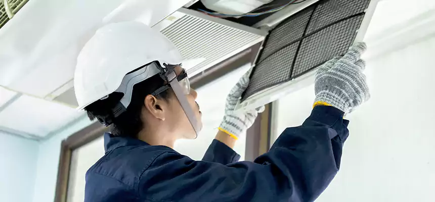 Our Mold & Mildew Removal from Air Ducts Services in Homewood, AL