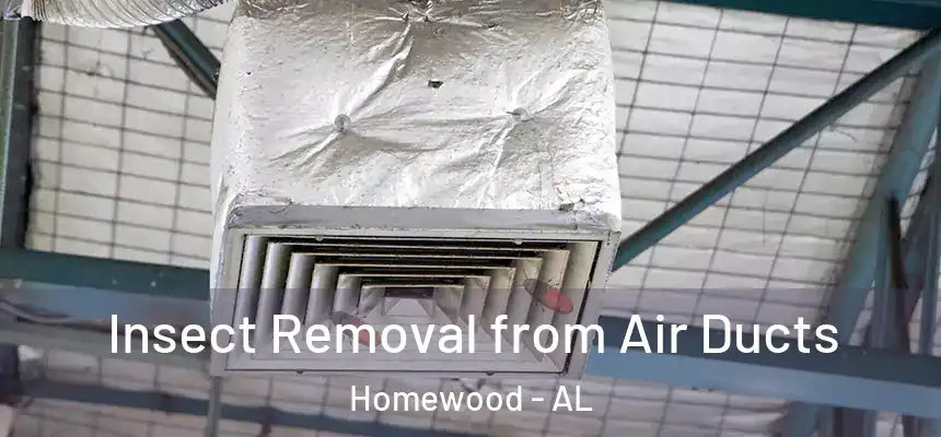  Insect Removal from Air Ducts Homewood - AL