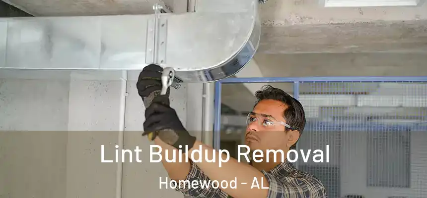  Lint Buildup Removal Homewood - AL