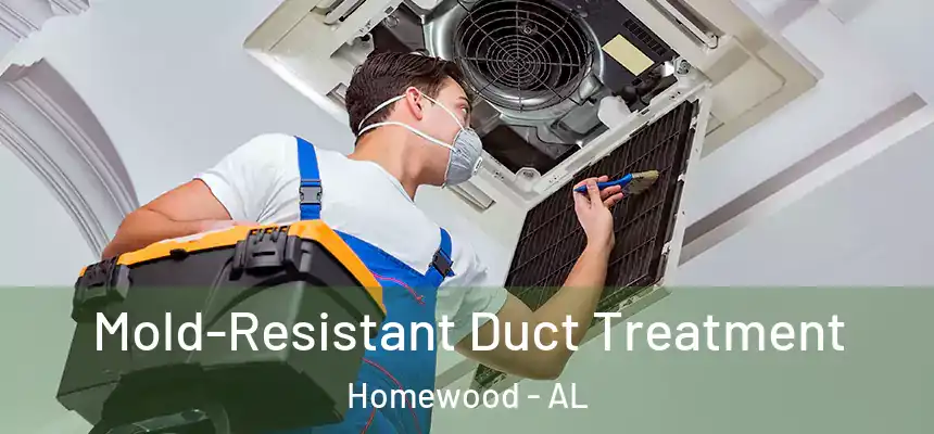  Mold-Resistant Duct Treatment Homewood - AL