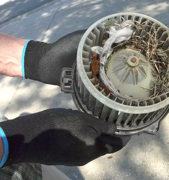 About Air Duct Mice Removal in Homewood, AL