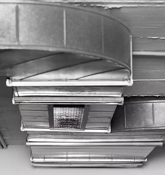 Professional Air Duct Pest Removal in Homewood, AL