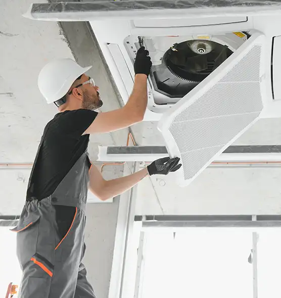 About Air Duct Rodent Removal in Homewood, AL