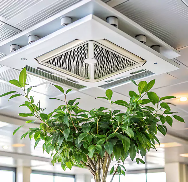 Why Homeowners & Businesses Trust Us in Homewood, AL