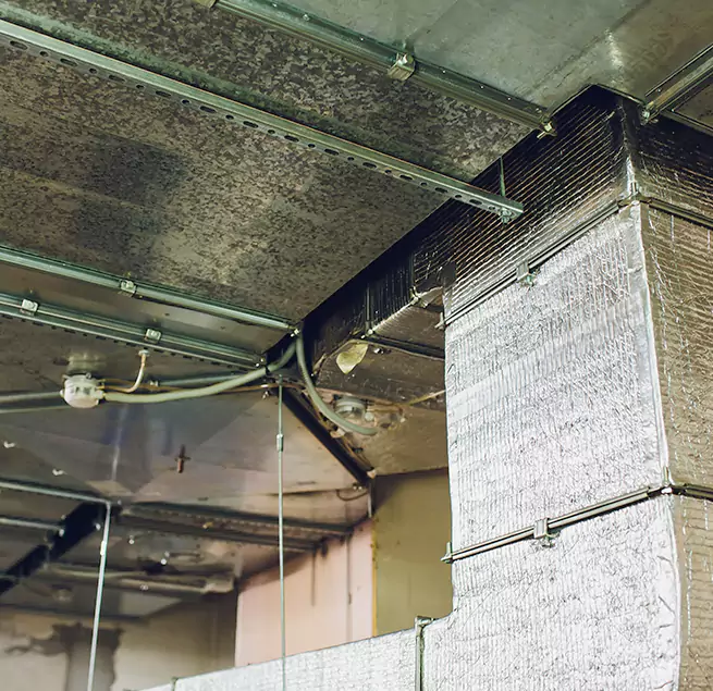 Why Homeowners & Businesses Trust Us in Homewood, AL?