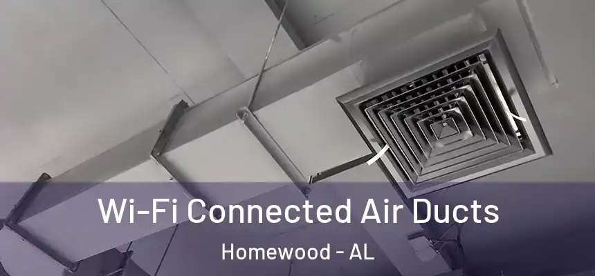 Wi-Fi Connected Air Ducts Homewood - AL
